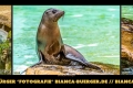 Instagram-Veröffentlichung am 17.08.2016 Instagram-Veröffentlichung am 17.08.2016