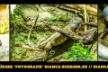 Instagram-Veröffentlichung am 23.08.2016 Instagram-Veröffentlichung am 23.08.2016