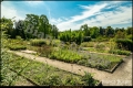 Botanischer Garten Berlin