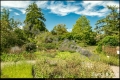 Botanischer Garten Berlin