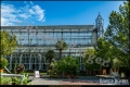 Botanischer Garten Berlin
