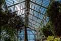 Botanischer Garten Berlin