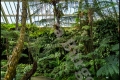 Botanischer Garten Berlin
