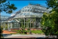 Botanischer Garten Berlin