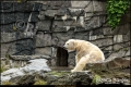 Tierpark Berlin (Bezirk Lichtenberg) Tierpark Berlin (Bezirk Lichtenberg)