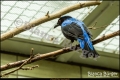 Tierpark Berlin (Bezirk Lichtenberg) Tierpark Berlin (Bezirk Lichtenberg)