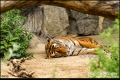 Tierpark Berlin (Bezirk Lichtenberg) Tierpark Berlin (Bezirk Lichtenberg)