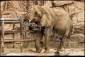 Tierpark Berlin (Bezirk Lichtenberg) Tierpark Berlin (Bezirk Lichtenberg)