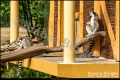 Tierpark Berlin (Bezirk Lichtenberg) Tierpark Berlin (Bezirk Lichtenberg)