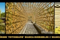Instagram-Veröffentlichung am