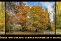 Instagram-Veröffentlichung am 29.11.2016