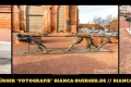 Instagram-Veröffentlichung am 25.-27.01.2017