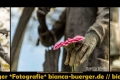 Instagram-Veröffentlichung am 17.05.2017