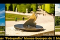 Instagram-Veröffentlichung am 29.05.2017