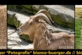 Instagram-Veröffentlichung am 31.05.2017