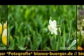 Instagram-Veröffentlichung am 18.06.2017