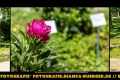 Instagram-Veröffentlichung am 11.09.2017