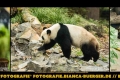 Instagram-Veröffentlichung am 16.-18.01.2018 Instagram-Veröffentlichung am 16.-18.01.2018
